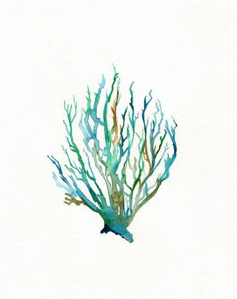 480x605 Wall Art, Watercolor Coral, Coral Art, No. 11 Sea Coral
