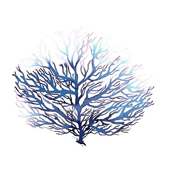 550x550 Blue Coral Watercolor Print, Ocean Art, Sea Decor Waves