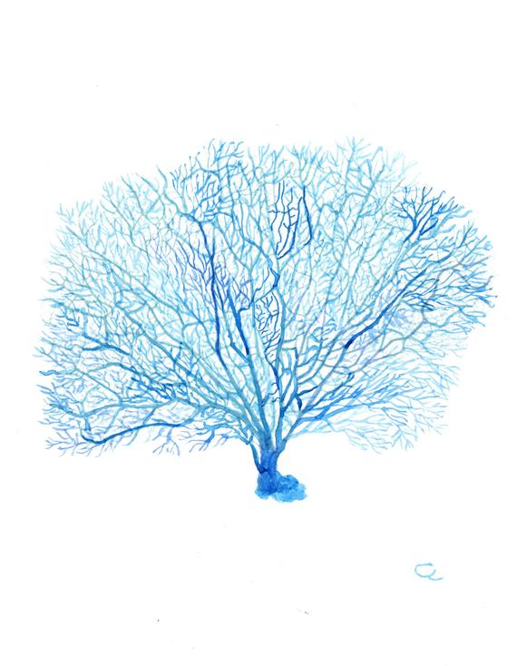 570x734 Blue Coral Watercolor Art Coral Painting Coral Watercolor Etsy