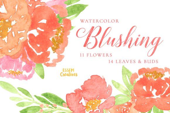 580x387 Pink Watercolor Peonies Clipart By Essem Creatives On
