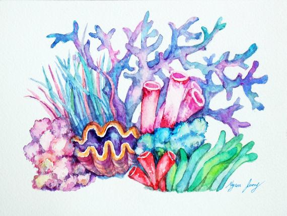 570x429 Coral Watercolor 4.56painting Original Coral Illust Etsy