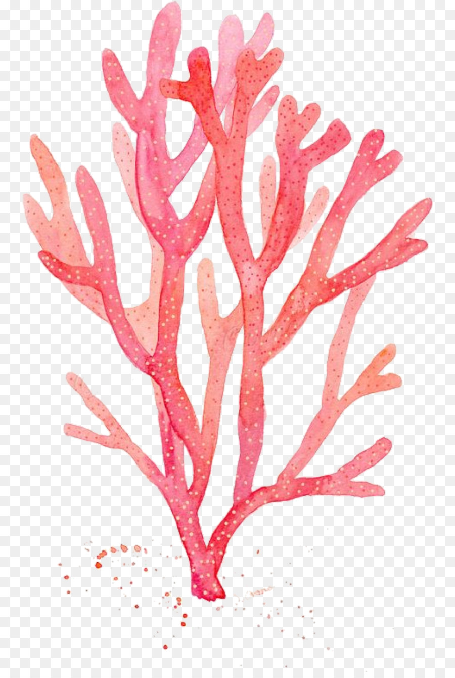 900x1340 Red Coral Watercolor Painting Drawing Algae