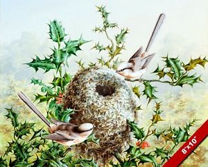 300x240 Coral Bunting Birds Nest In Holly Tree Watercolor Painting Art
