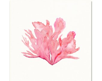 340x270 Coral Amp Seaweed Art Print. Watercolor Coral. Watercolor Sea