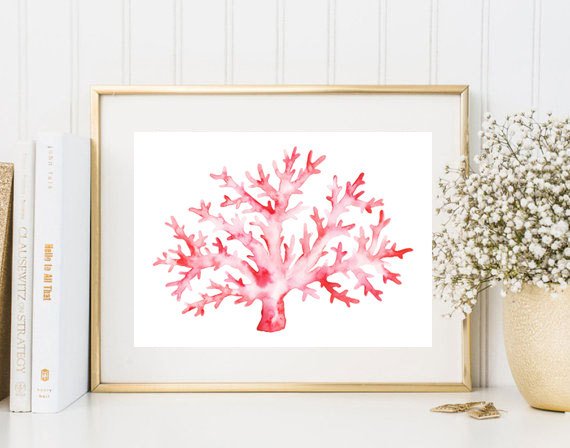 570x448 Coral Watercolor Print Illustration Sea Ocean Painting Poster