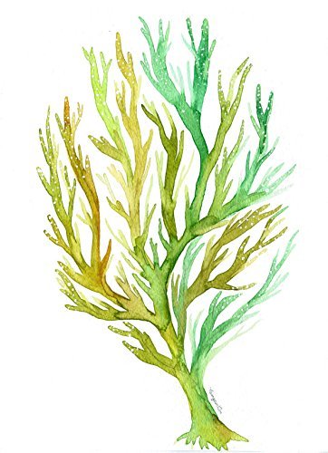 362x500 Green Sea Coral Watercolor Print Wall Art Decor No
