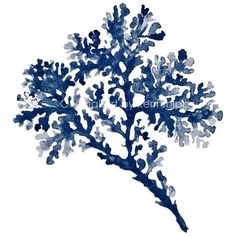 236x236 Sea Coral Ii In Turquoise Watercolor Print