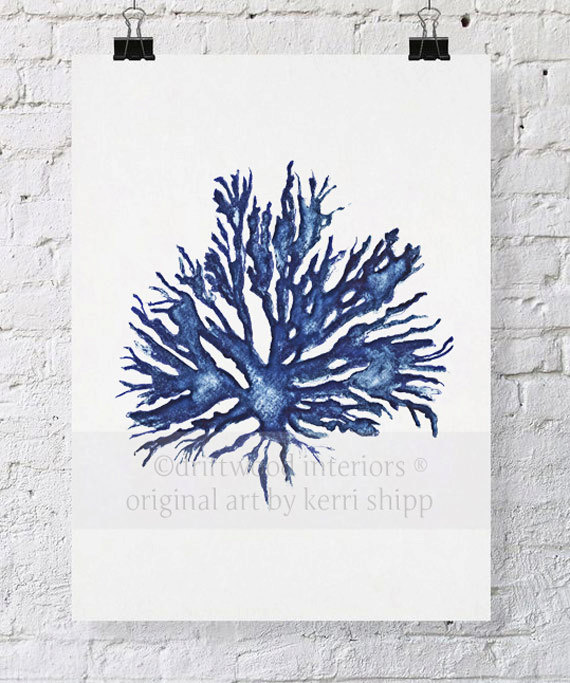 570x683 Sea Life Art Prints Best Of Etsy Antique Wall Art Coral Art Red