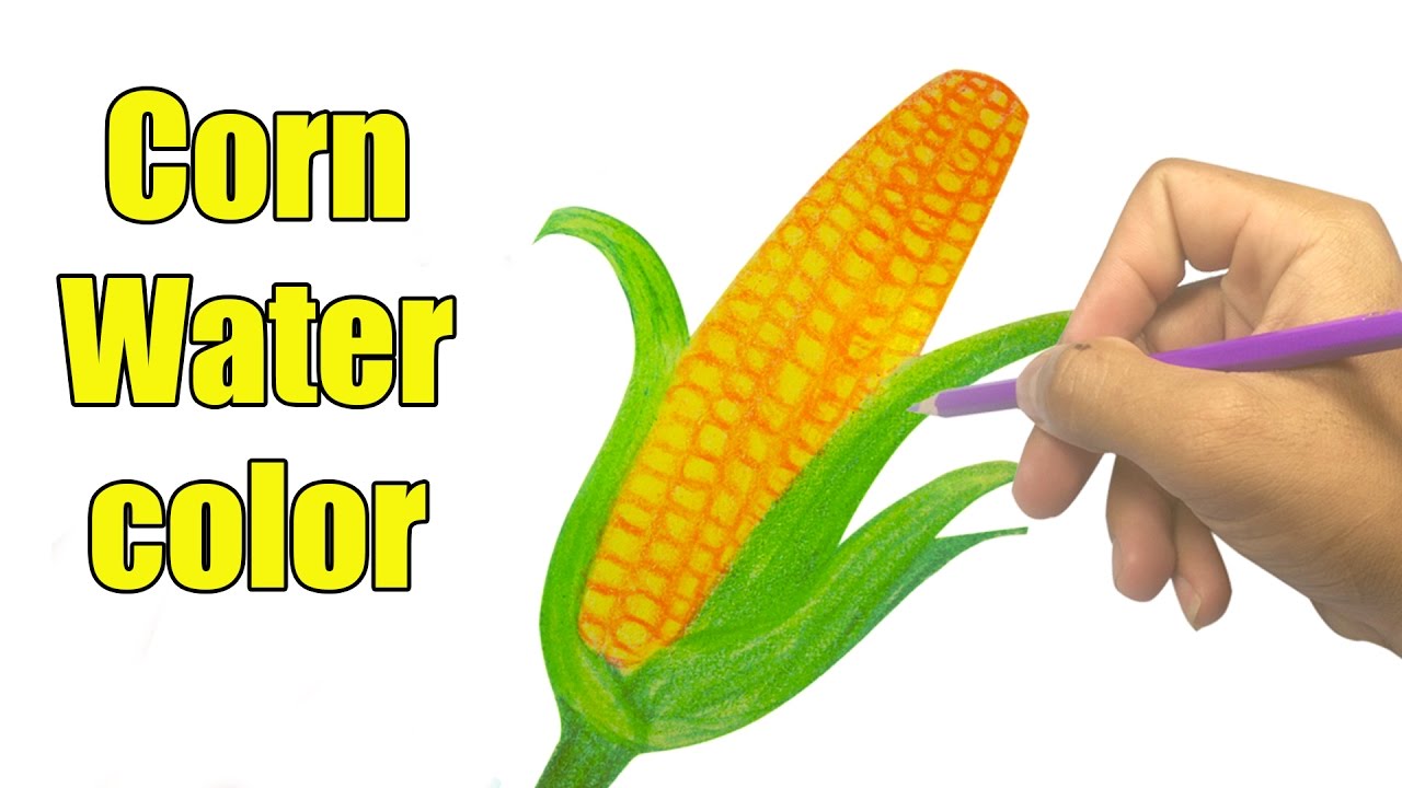 1280x720 How To Draw A Corn Watercolor Easy