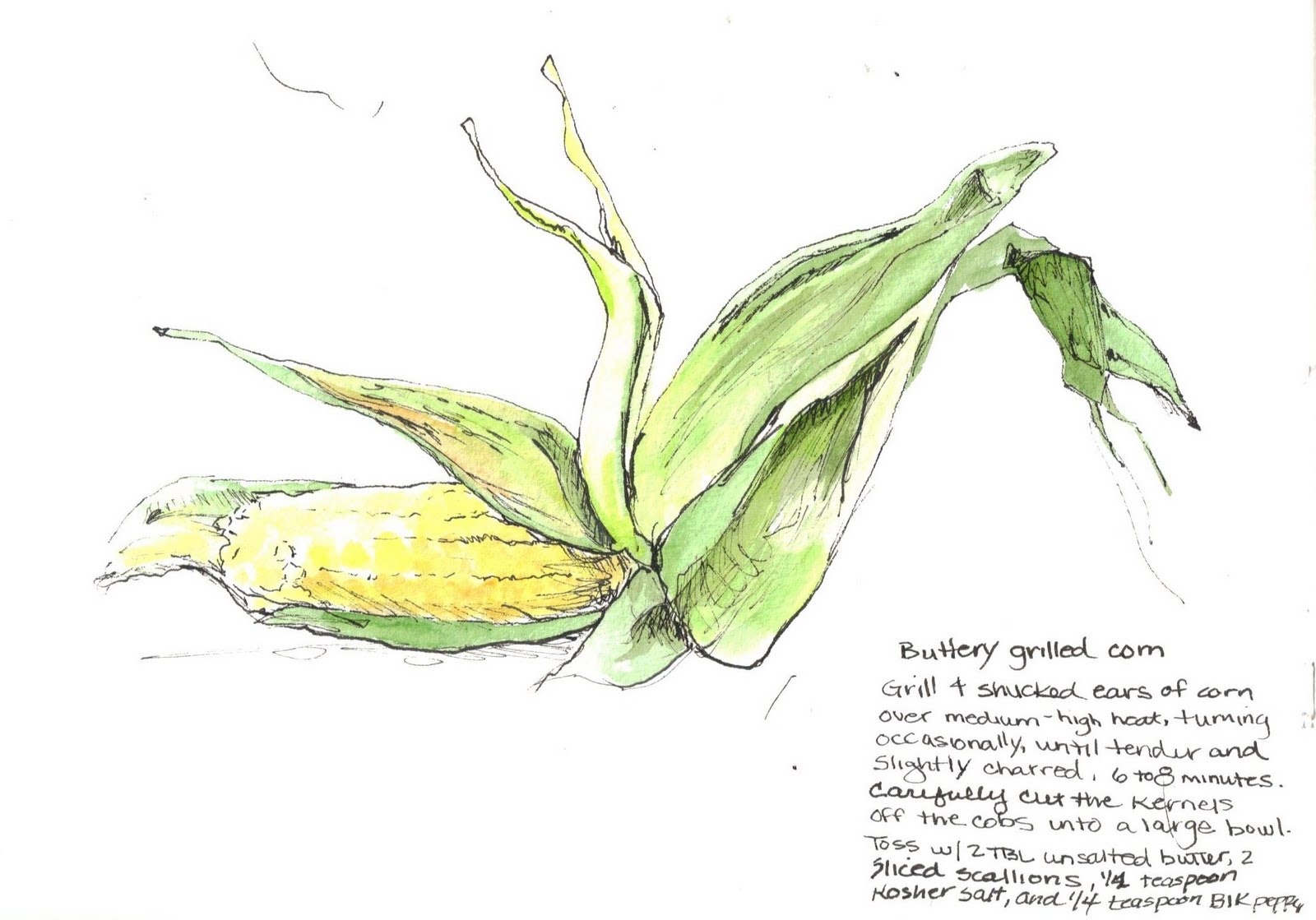 1600x1119 Susan Walker Art Corn It And A Recipe. Ink And Watercolor Sketch