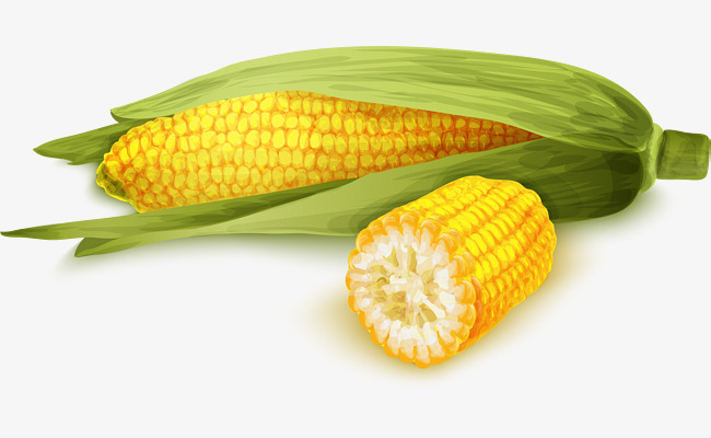 650x400 Cartoon Yellow Corn, Cartoon, Coat, Watercolor Png And Vector For