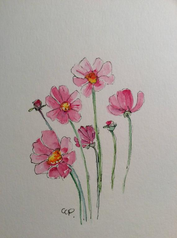 570x763 Pink Cosmos Watercolor Card Hand Painted Watercolor Card Etsy