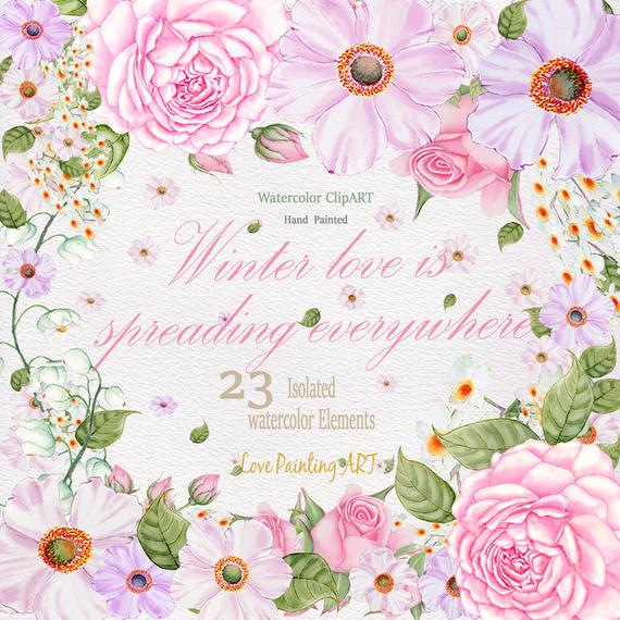 570x570 Roses Amp Cosmos Watercolor Flowers Clipart.hand Painted Etsy