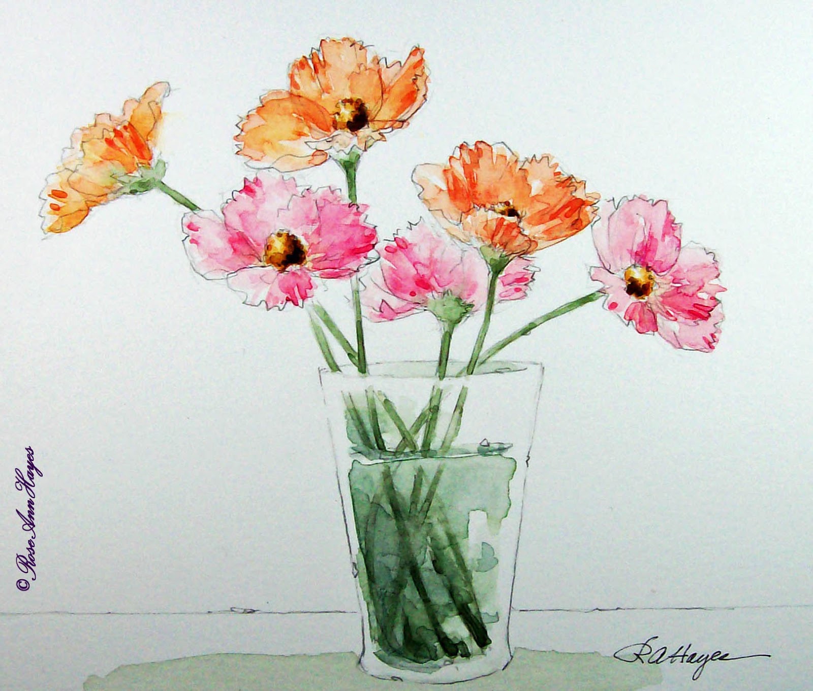 1600x1361 Watercolor Paintings By Roseann Hayes Cosmos Watercolor Painting