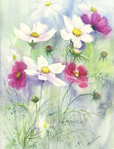 Cosmos Watercolor at GetDrawings | Free download