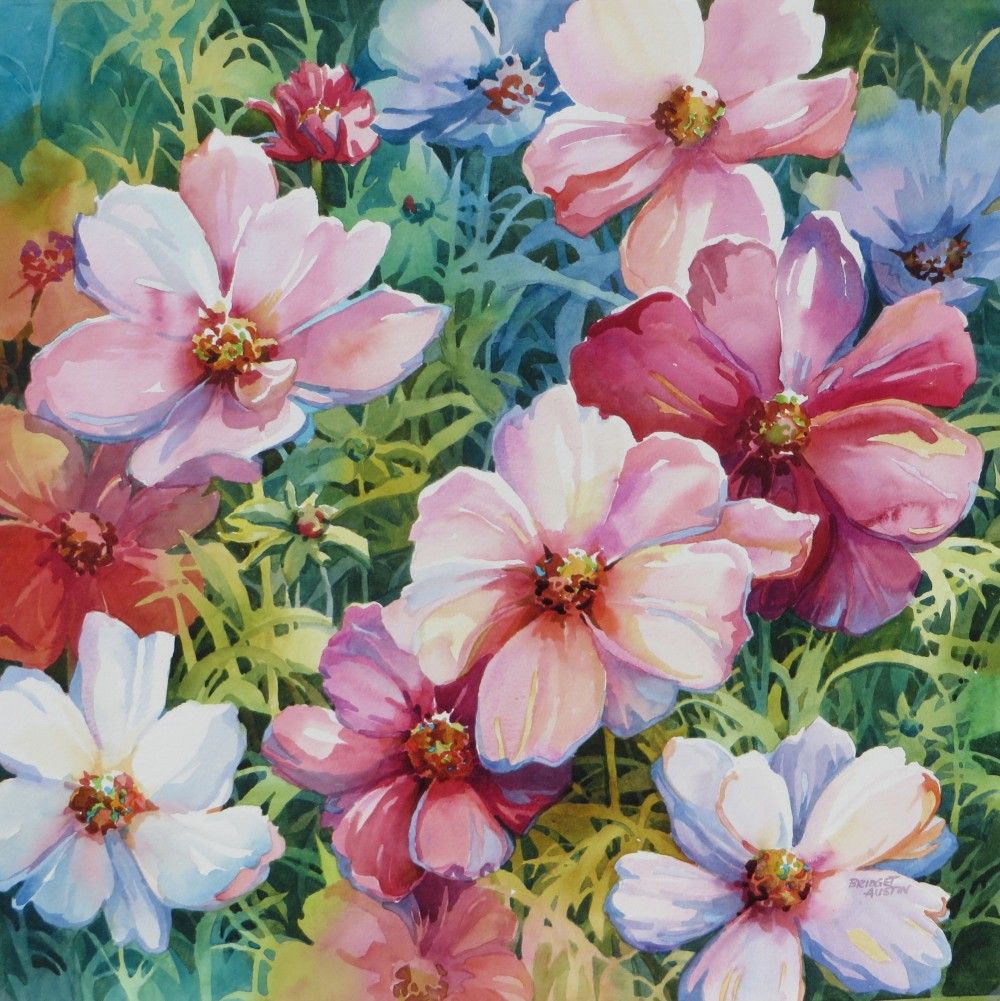 1000x1001 Cosmos Watercolor Large Floral Bridget Austin Suluboya6