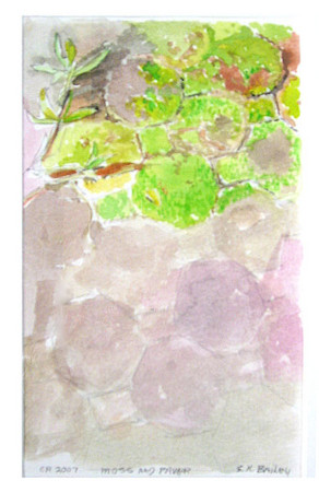 292x450 Costa Rica Watercolor Sketches Florida Caribbean Art