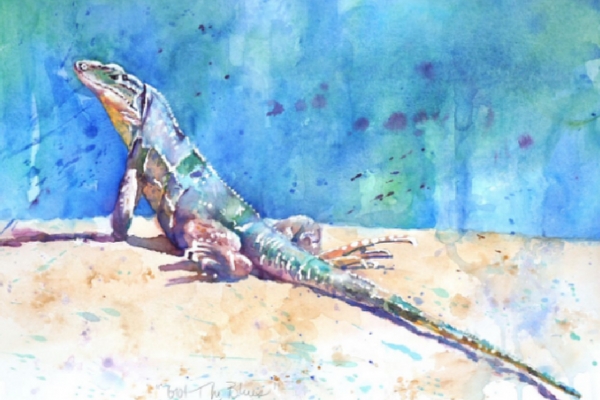 600x400 Paint Amp Explore Costa Rica (New Itinerary!)