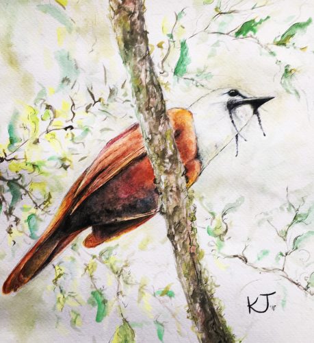 459x500 Two Arts Tree Planting And Watercolor Painting In Costa Rica