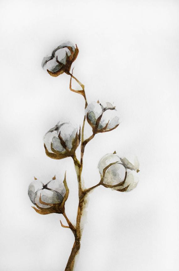 570x863 Original Watercolor Cotton Cotton Watercolor Home Decor Etsy