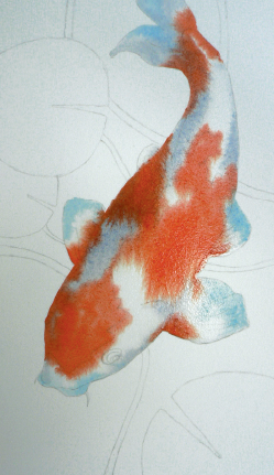 249x431 How To Paint Koi Carp In Watercolour