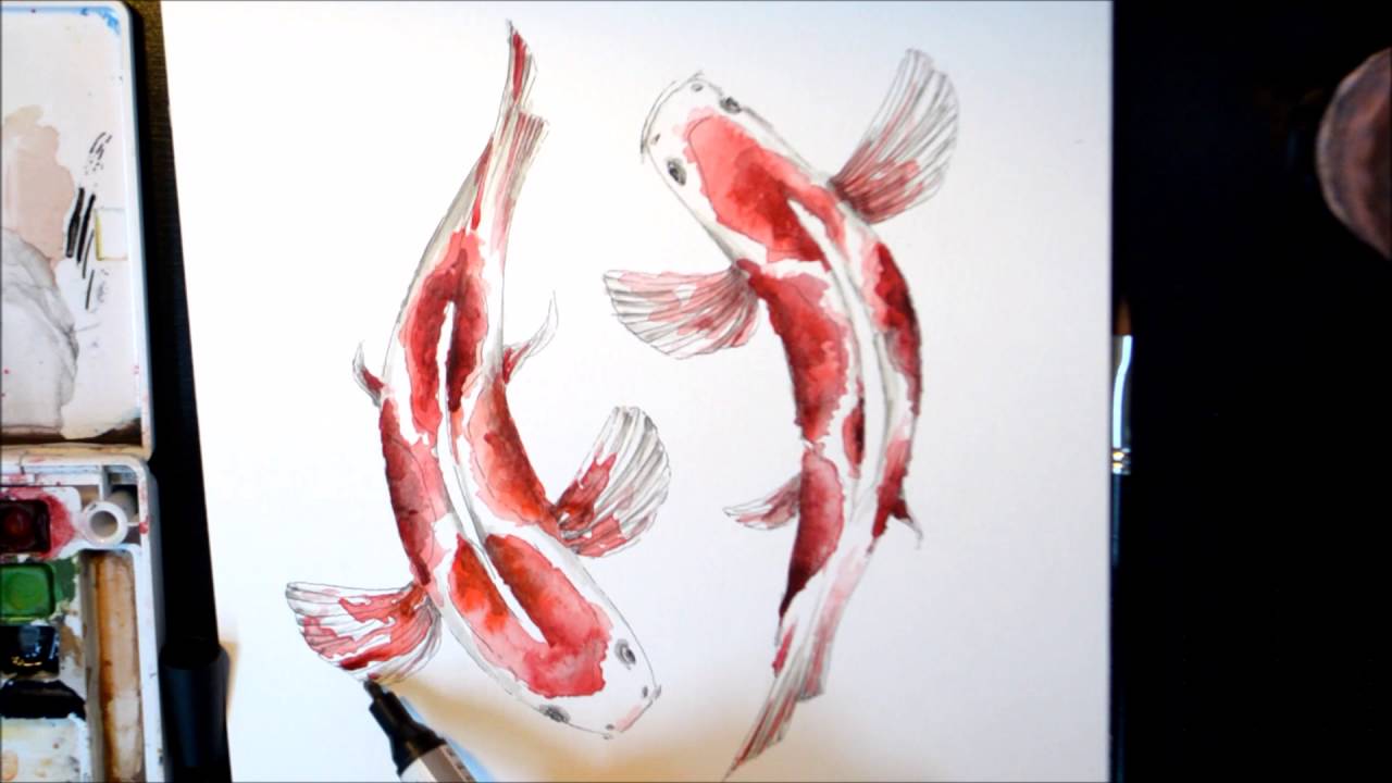 1280x720 Koi Fish Watercolor Drawing