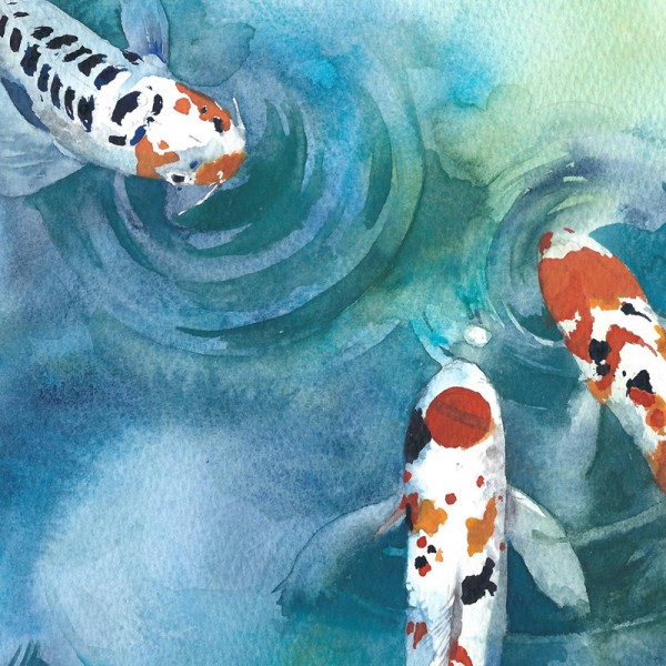 600x600 Koi Fish In A Pond Ver2 Chinese Watercolor Style Art