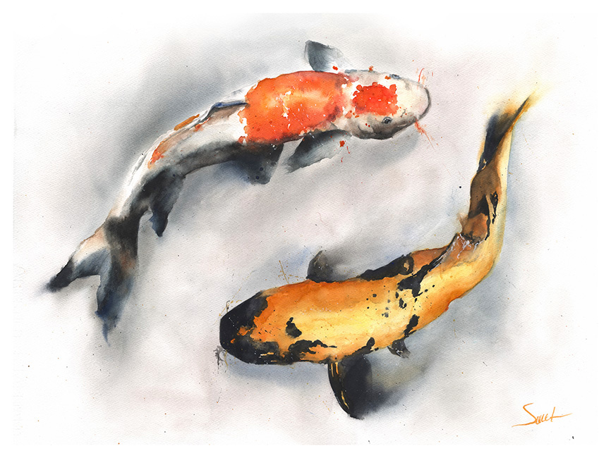 866x650 Koi Original Watercolor Painting Watercolor Animal Paintings