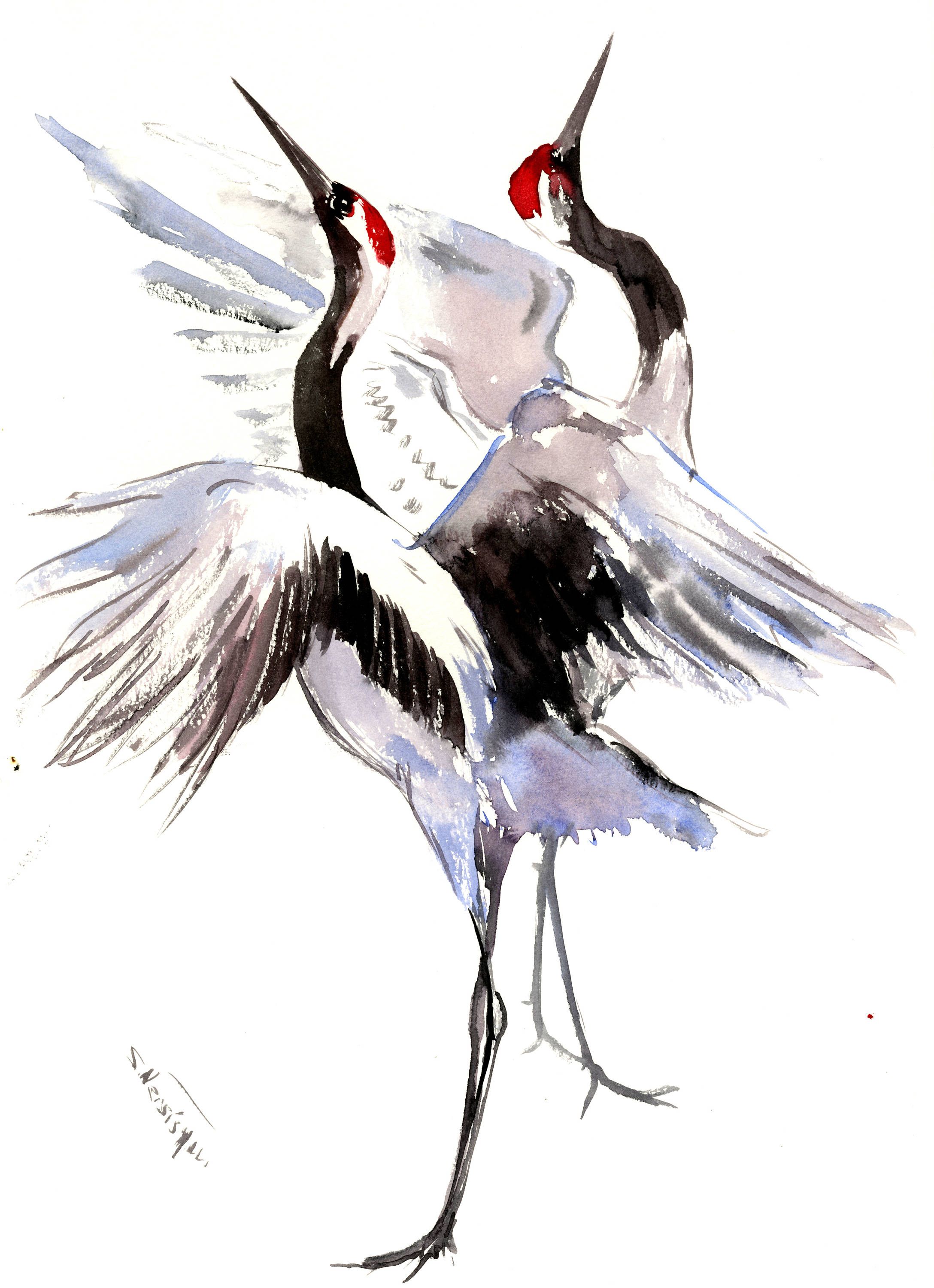2176x3000 Japanese Crane, Artwork, Painting, Two Cranes, Original Watercolor