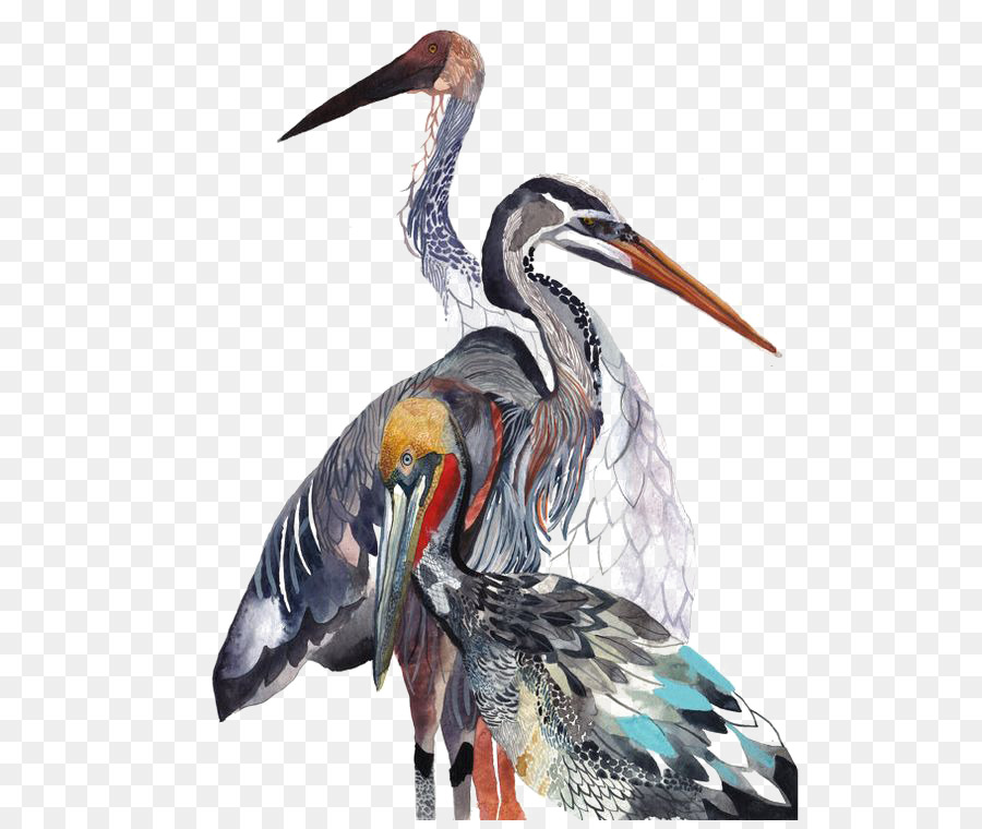 900x760 Watercolor Painting Art Drawing Bird