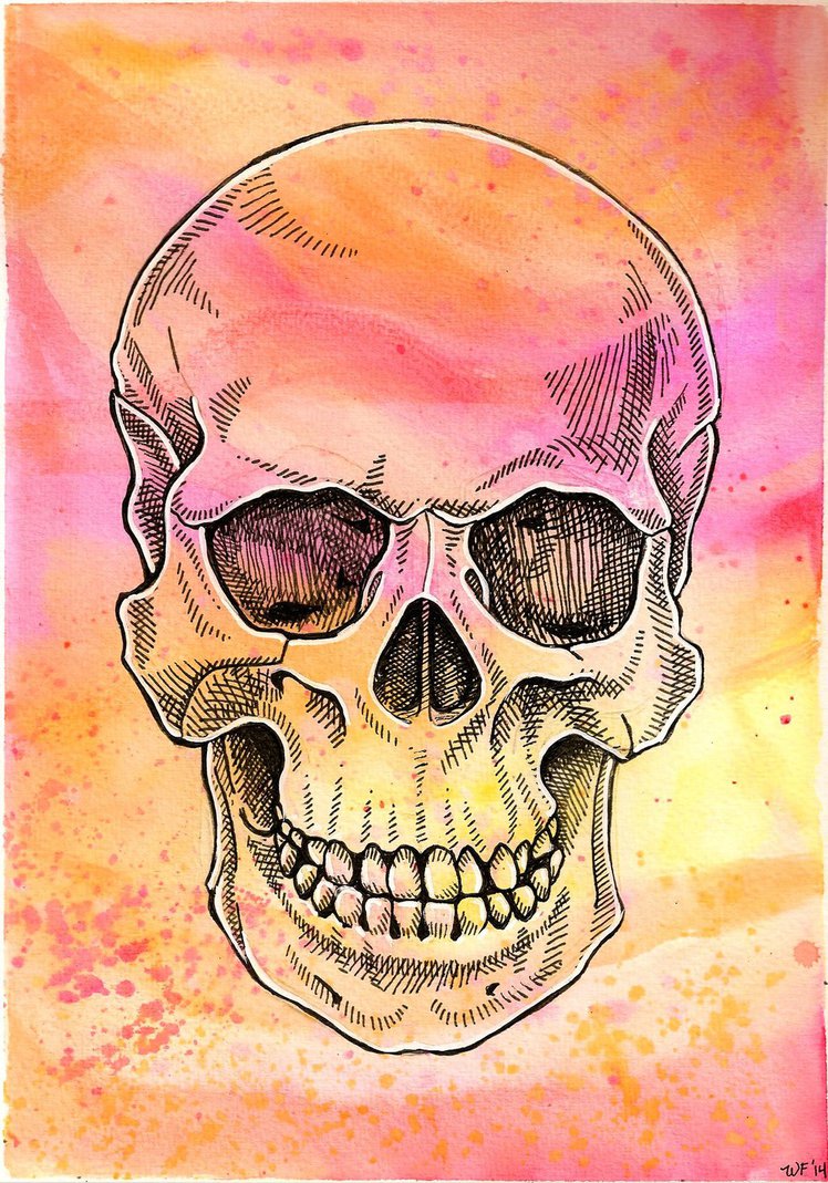 748x1069 Skull Watercolor By Crazy Fae