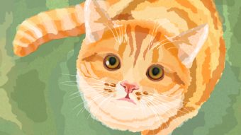 340x191 Create A Watercolor Cat In Adobe Illustrator