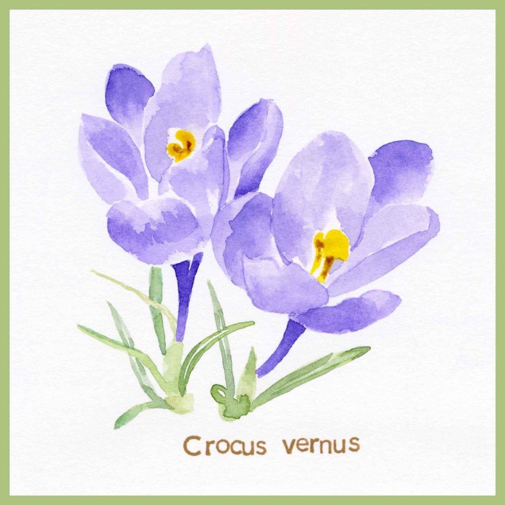 1000x1000 Minimalist Art Supplies Carolyn A Pappas