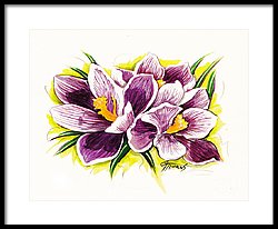 250x206 Purple Crocus Watercolor Painting By Gg Burns