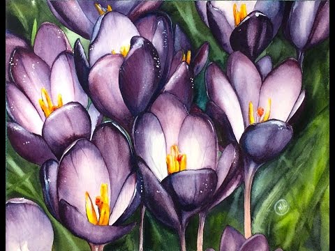 480x360 Watercolor Crocus Flowers Painting Demonstration