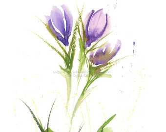 340x270 Watercolor Crocus Etsy