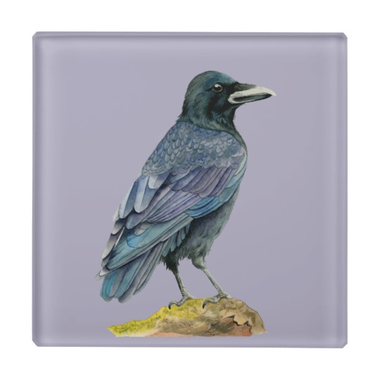 540x540 Crow Watercolor Painting Glass Coaster