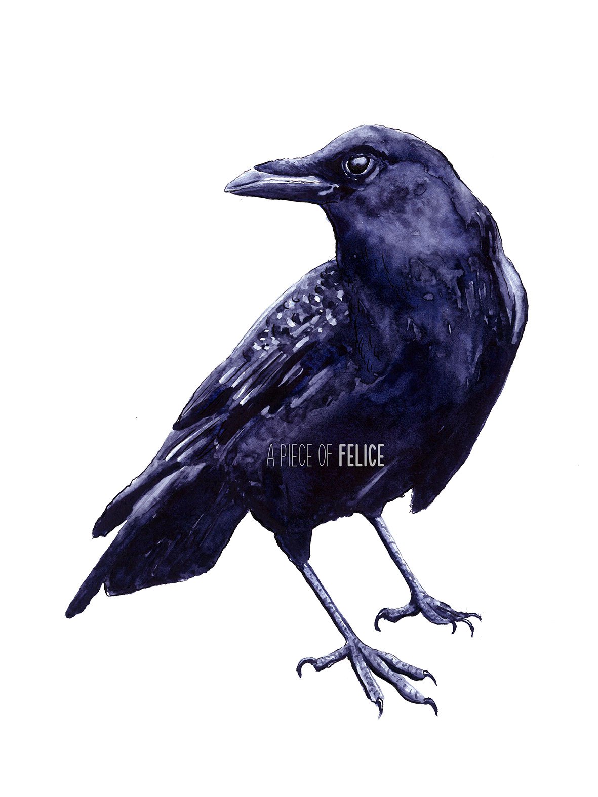 1181x1575 Crow Watercolor Painting