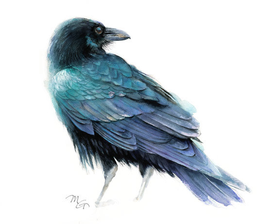 570x461 Raven Art Print