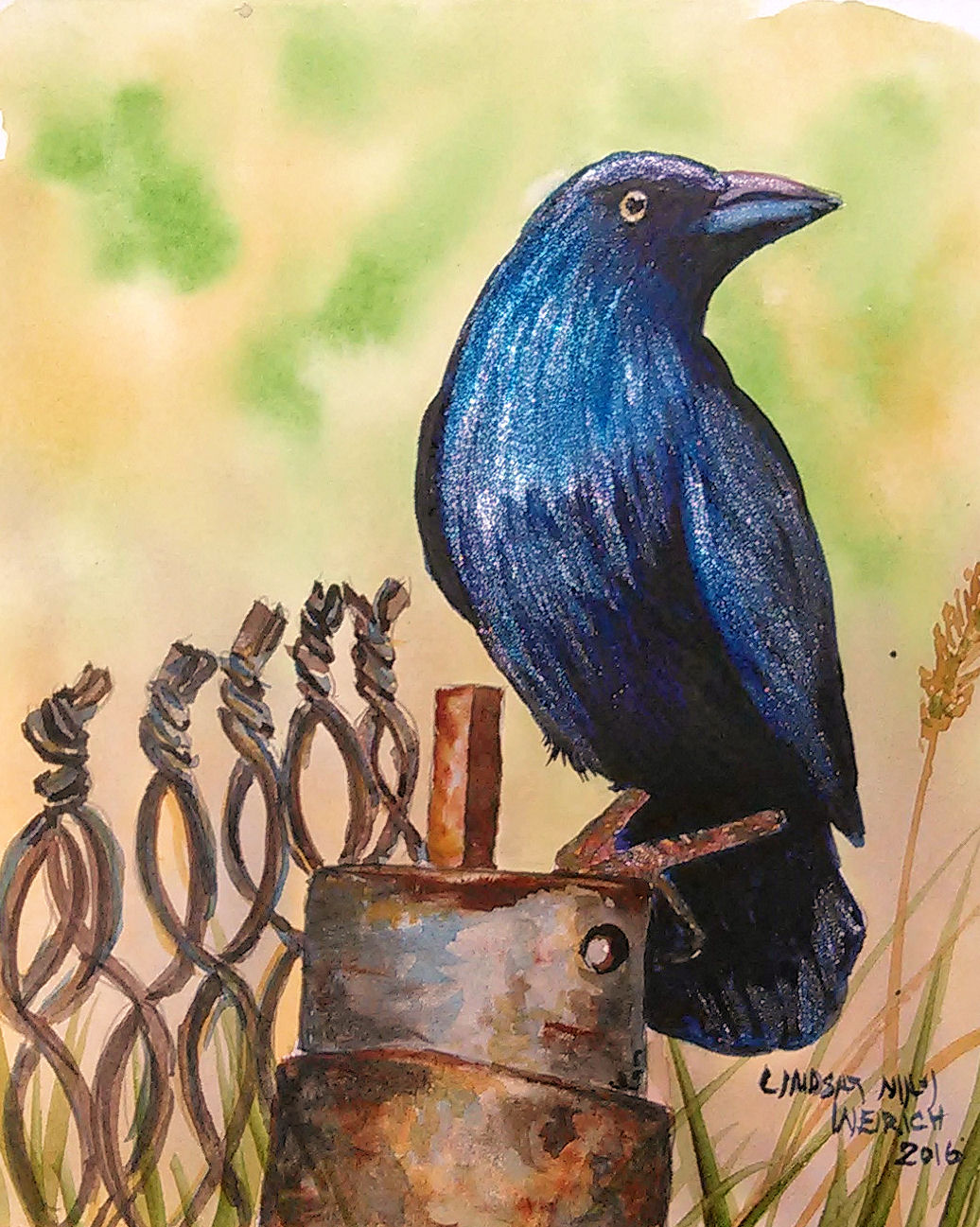 1036x1297 How To Paint A Crow In Watercolor The Frugal Crafter Blog