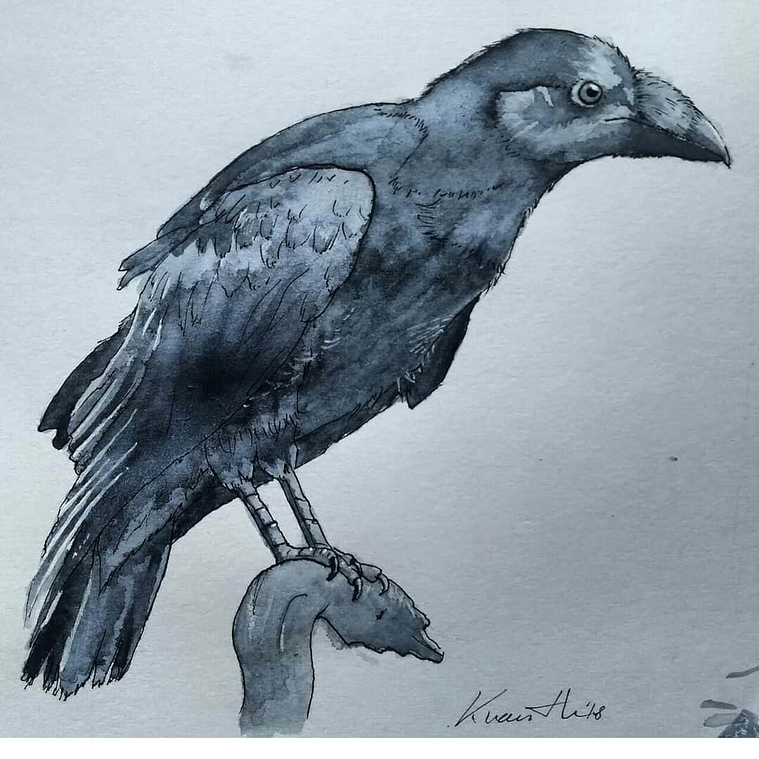 1080x1080 Crow, Watercolor, A4 Art