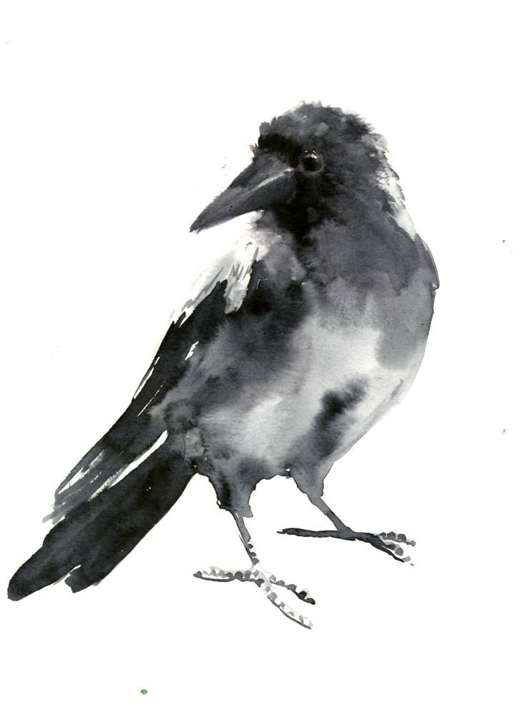 737x1000 Crow, Bird Artwork Original One Of A Kind Watercolor Painting