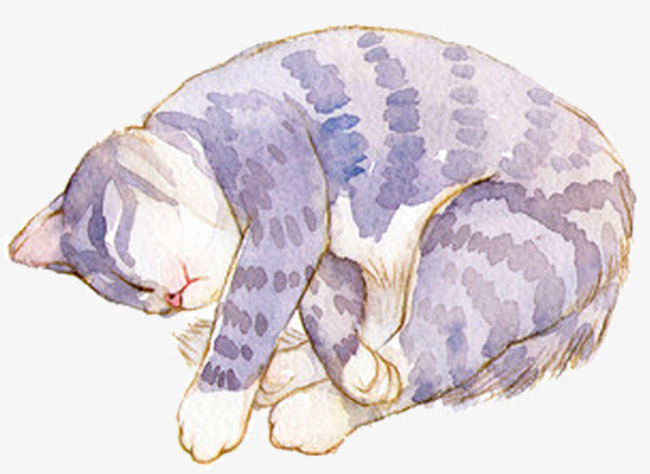 650x474 Cute Watercolor Cat Shape, Cute Clipart, Watercolor Clipart, Cat