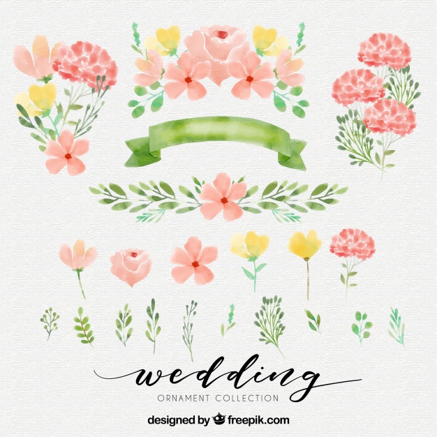 626x626 Cute Watercolor Elements Vector Free Download