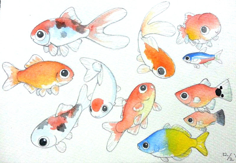 800x555 Watercolor Cute Fishies By Mondoart