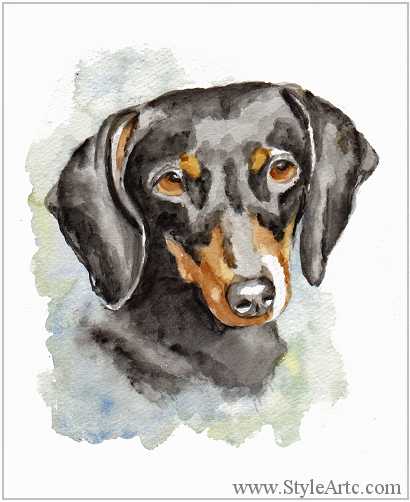 410x502 Dachshund Watercolor Pet Portraits