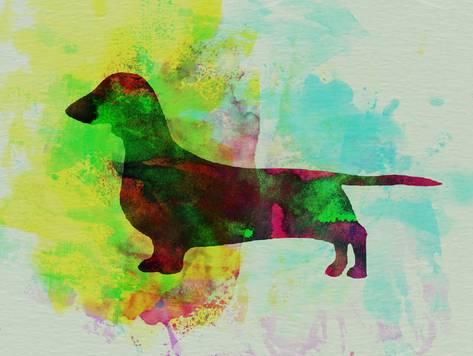 473x356 Dachshund Watercolor Posters By Naxart