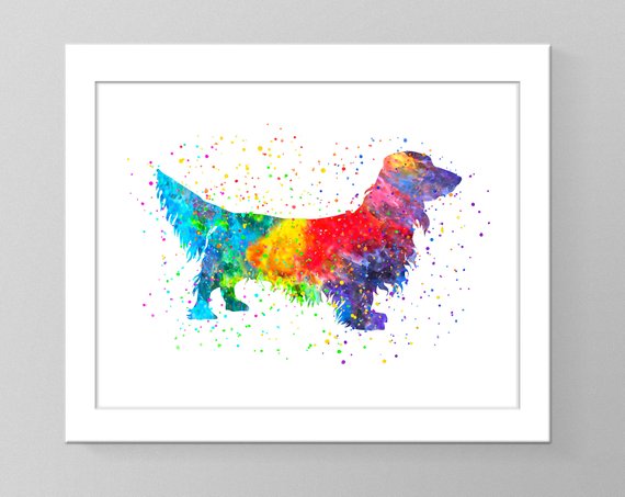 570x453 Dachshund Watercolor Wall Art Printable Home Decor Dog Nursery Etsy