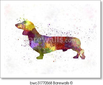437x364 Art Print Of Dachshund In Watercolor Barewalls Posters Amp Prints
