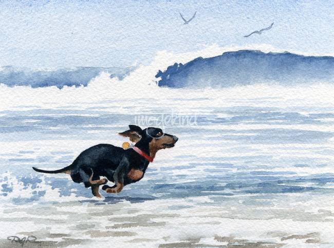 650x483 Stunning Dachshund Watercolor Painting Reproductions For Sale On